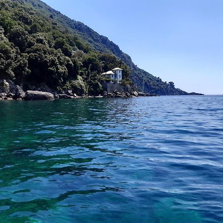 Villa Albachiara Camogli Εξωτερικό φωτογραφία