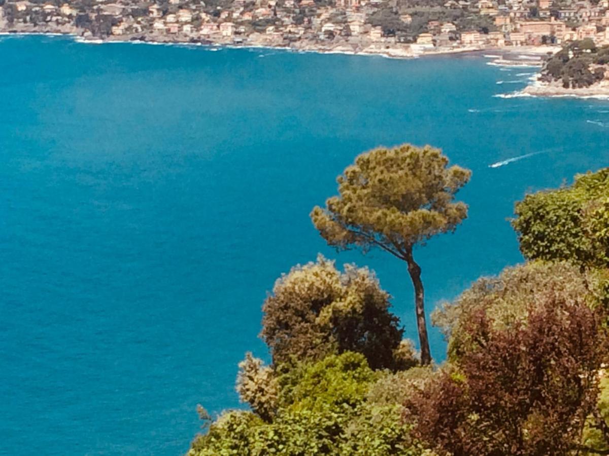 Villa Albachiara Camogli Εξωτερικό φωτογραφία