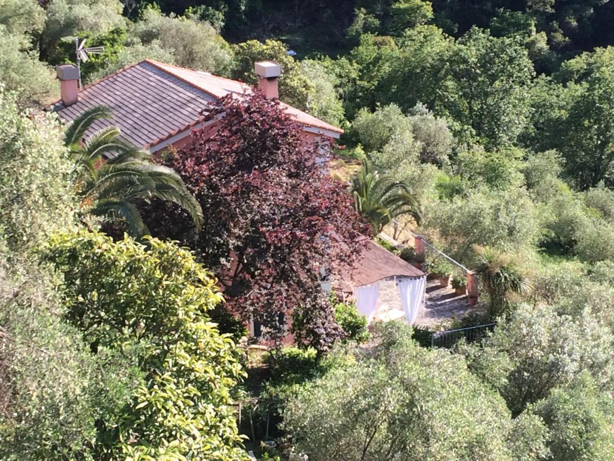 Villa Albachiara Camogli Εξωτερικό φωτογραφία