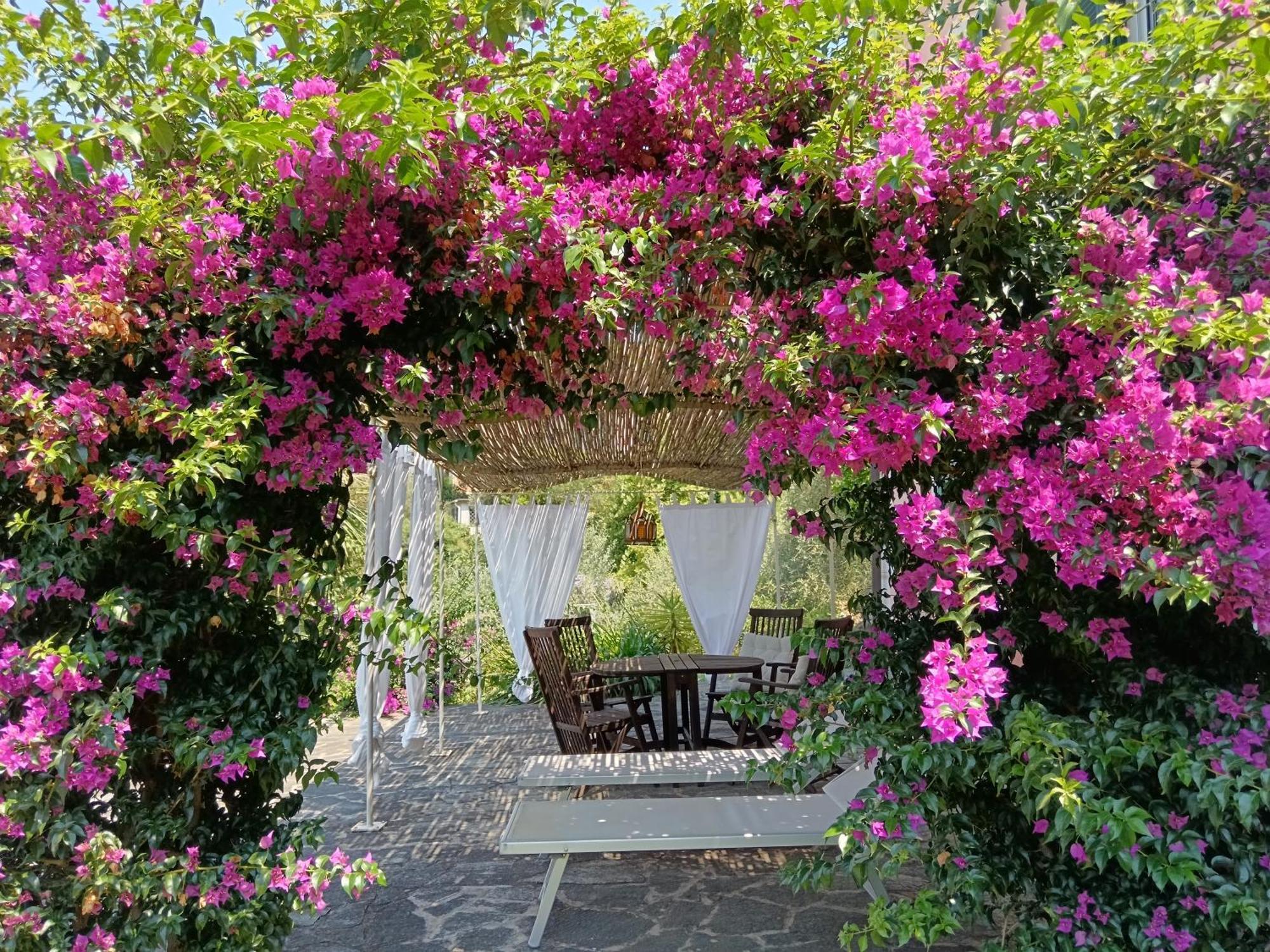 Villa Albachiara Camogli Εξωτερικό φωτογραφία