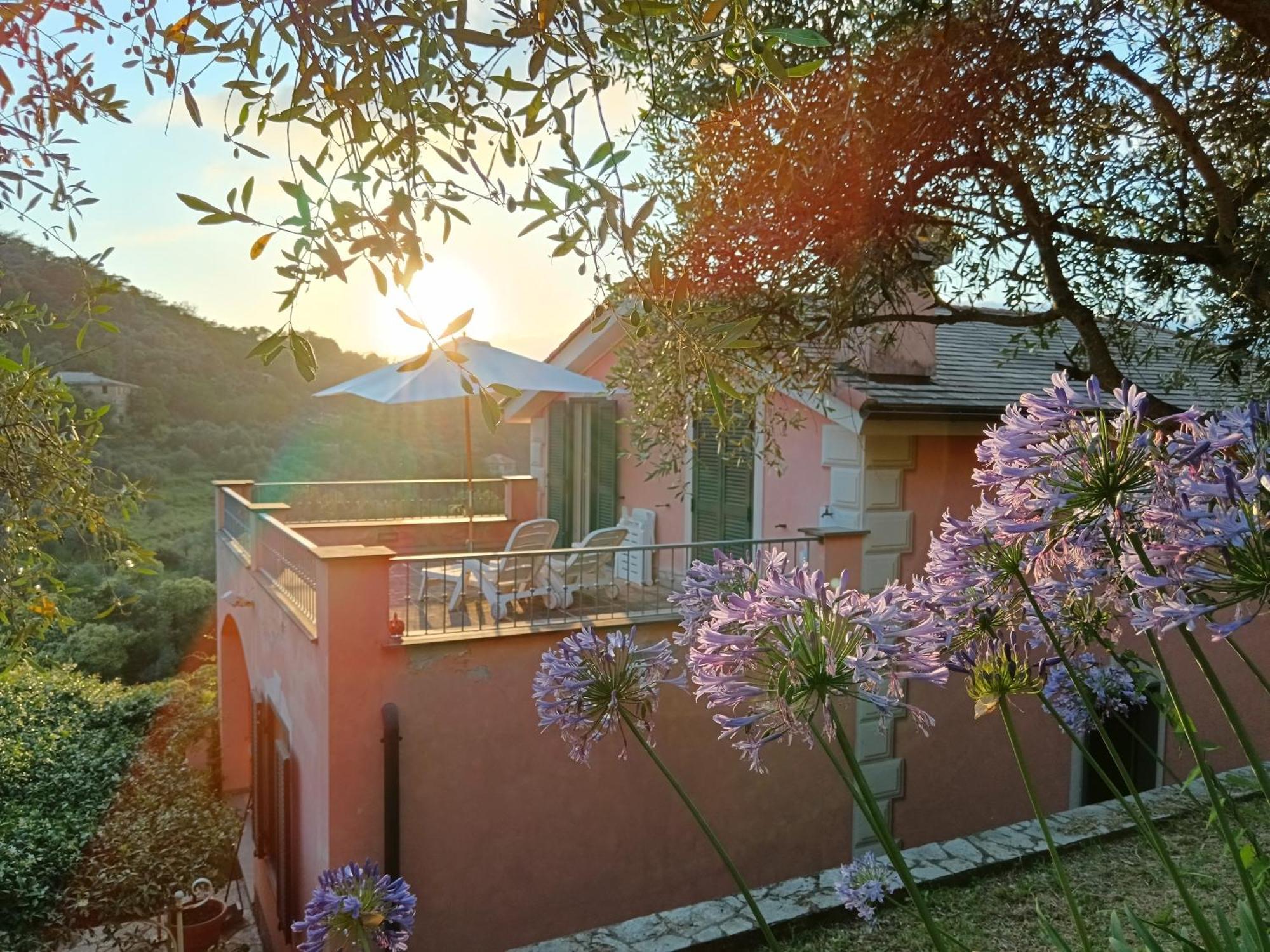 Villa Albachiara Camogli Εξωτερικό φωτογραφία